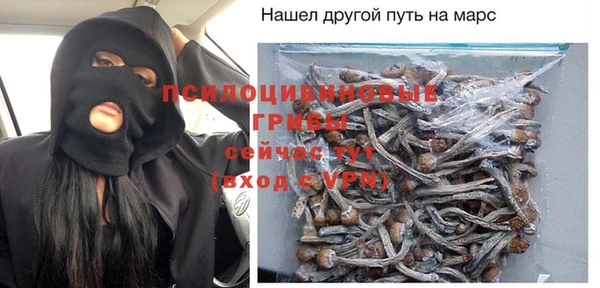соль ск Балахна