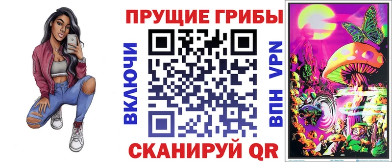 продажа наркотиков  Заозёрск  Псилоцибиновые грибы GOLDEN TEACHER 